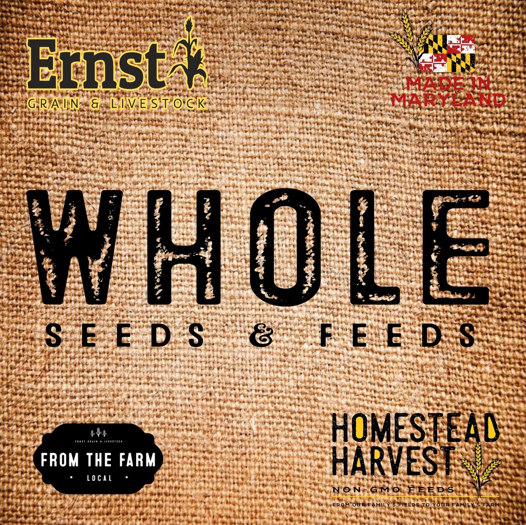 NonGMO Roasted Soybeans 50lbs Ernst Grain & Livestock